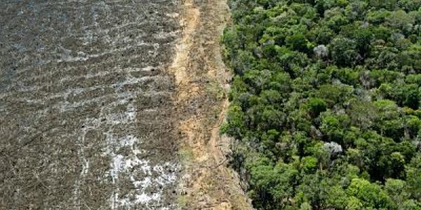 Deforestación en la Amazonia brasileña