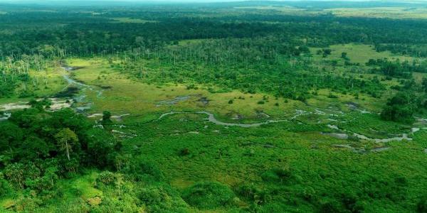  Parque Nacional de Odzala-Kokoua es un refugio vital para elefantes y gorilas de la selva