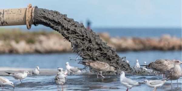 Ejemplo de estado de la depuración del agua