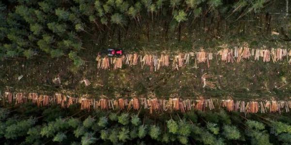 Organizaciones que luchan por los derechos humanos y el medio ambiente