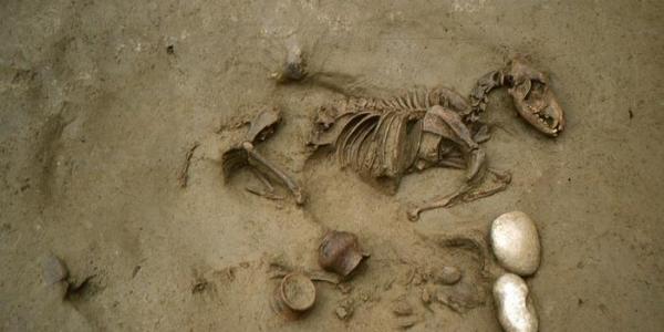 Los descubrimientos arqueológicos en Italia 