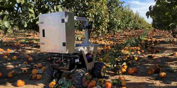 Desarrollan un robot móvil para evitar el desperdicio alimentario