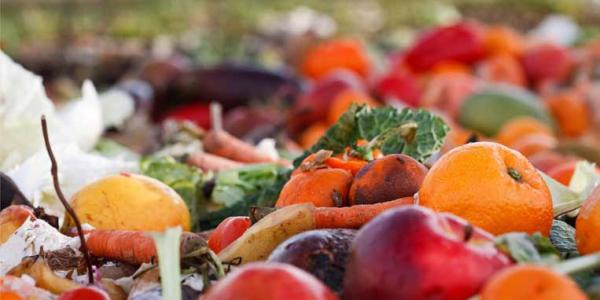 El desperdicio alimentario también afecta al medio ambiente