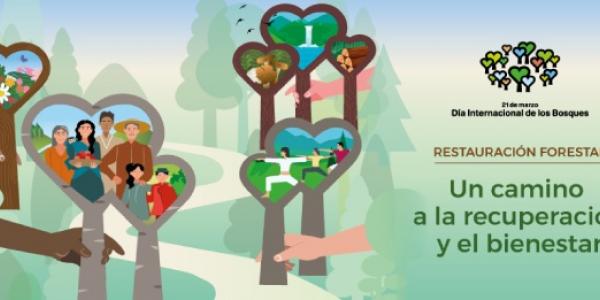 Cartel Día Internacional de los Bosques