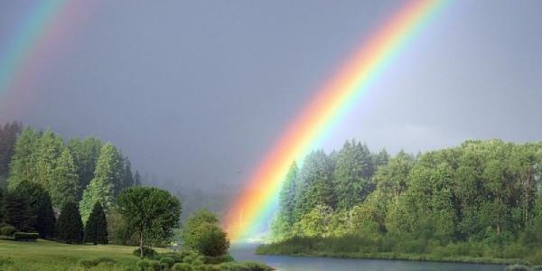 Un arcoíris en plena naturaleza tras una lluvia