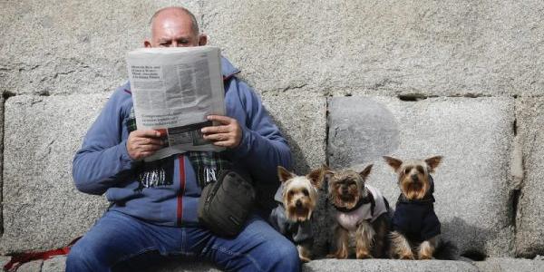 Lo que dice la ley sobre las mascotas y las separaciones ¿Qué pasa con las mascotas ante un divorcio o separación?