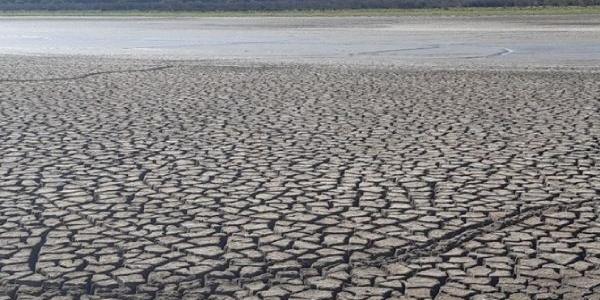 El colapso ecológico al que esta expuesto Doñana