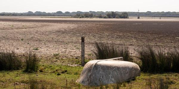 El deterioro de Doñana