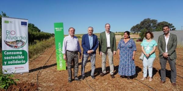 Eco huerto Fundación Real Betis Balompié