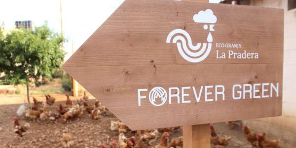 Cartel Ecogranja La Pradera y Forever Green