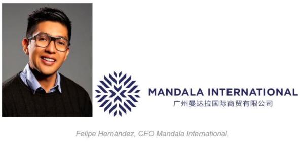 Mandala Internacional