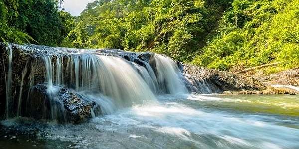 Ecosistemas fluviales