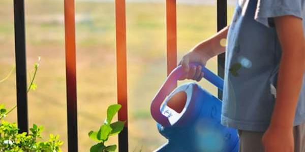 Un niño regando las plantas, ejemplo de educación ambiental.