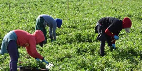 La eficiencia energética a través de los trabajadores del campo