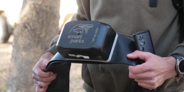 Los collares con mejor tecnología GPS para monitorear a los elefantes