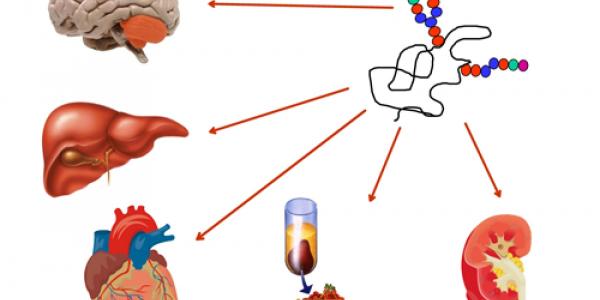 16 de mayo, Día Mundial de las Enfermedades congénitas de glicosilación 