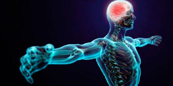 enfermedades neuromusculares
