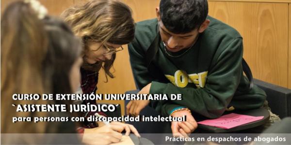 Estudiantes con discapacidad intelectual / Cadena de valor