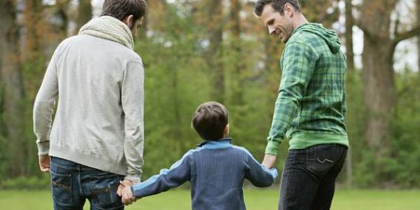 Igualdad en los derechos de las familias LGTBI