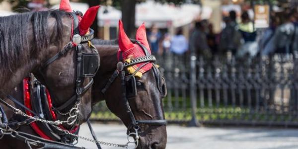 El calor afecta de nuevo a los caballos de la Feria de abril