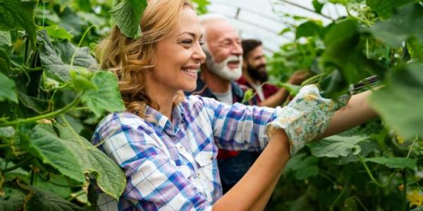Agricultores