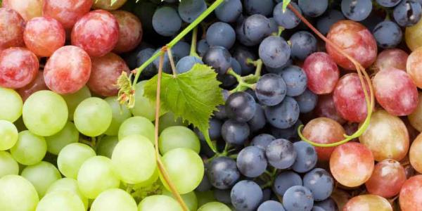 Una de las frutas de temporada de noviembre son las uvas 