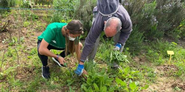 Voluntarios Fundación Real Betis Balompié