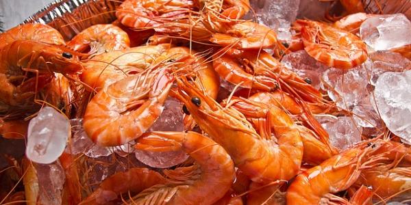 Una fuentes de gambas con hielo. Foto de Pixabay