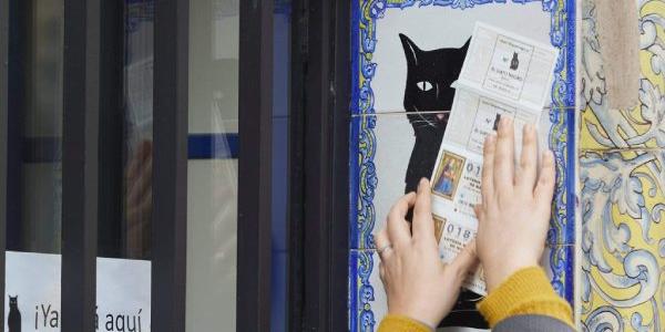Manos pasando décimos de lotería de Navidad por la imagen de un gato negro
