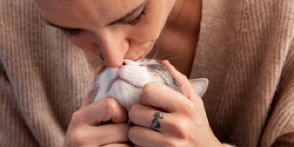 Los gatos reconocen el olor de sus dueños