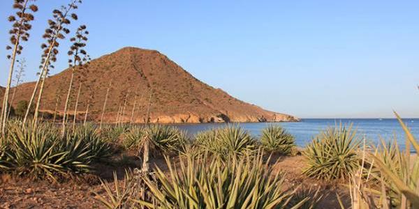 Playa de los Genoveses, Almería, entre pitas y pitacos /Almería Trending  