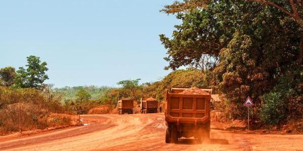 La minería deja expuestos a los grandes simios africanos