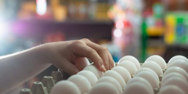 La gripe aviar y la influencia en los precios