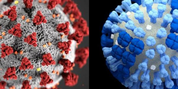 Virus de la gripe estacional (derecha), coronavirus (izquierda)