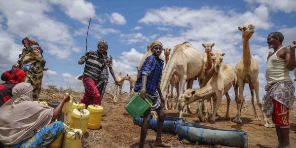 La guerra de Ucrania causa estragos en la población africana