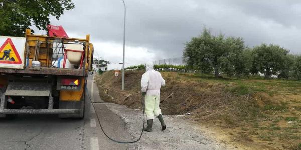 El uso de herbicidas debe erradicarse en las carreteras