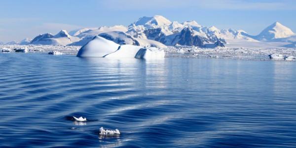 El hielo marino resiste otro verano más