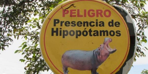 Cartel con un hipopótamo