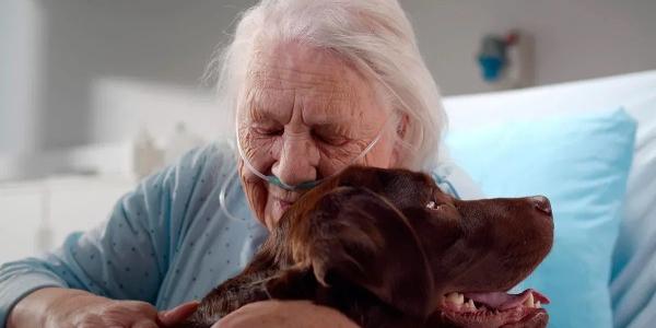 El perro que devolvió humanidad a los hospitales  