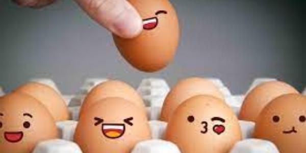 Los huevos de gallinas felices son mejores para la salud