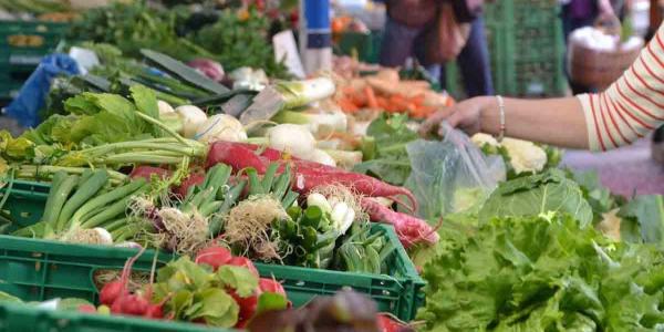 Apuesta por los alimentos de temporada