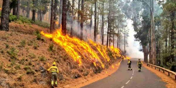 El incendio en Tenerife sigue arrasando hectáreas