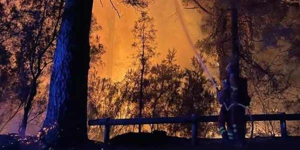 Efectivos de la UME trabajan en el incendio de Tenerife.