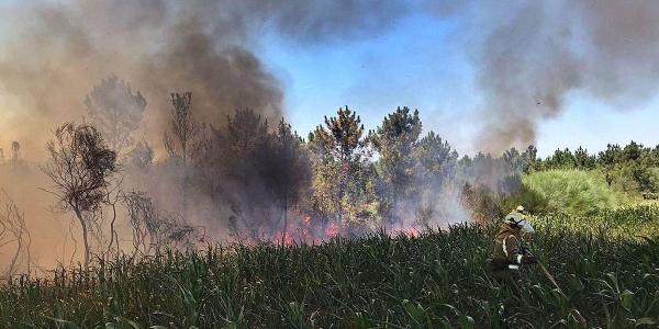 Tareas de extinción del incendio registrado en Goiás / Faro de Vigo