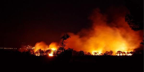 Los incendios forestales son un grave peligro para el medioambiente