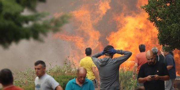 Incendios forestales