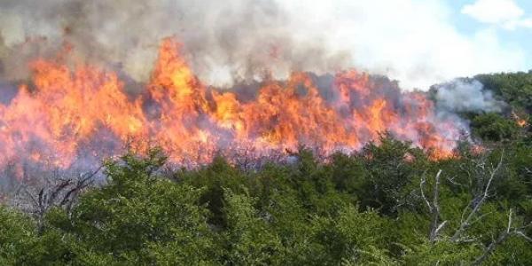 Los incendios forestales han calcinado en lo que va de año un 14,5 % menos en España