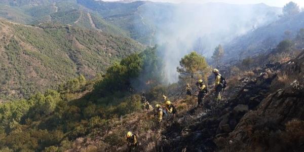 España sucumbe con los incendios forestales