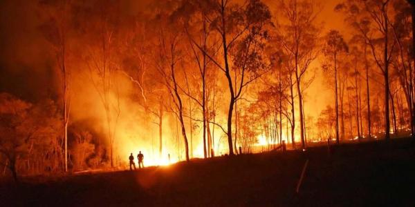 El Gobierno aprueba medidas urgentes contra los incendios