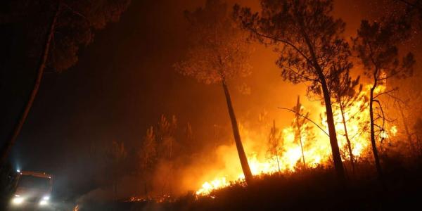El noroeste español y los incendios forestales